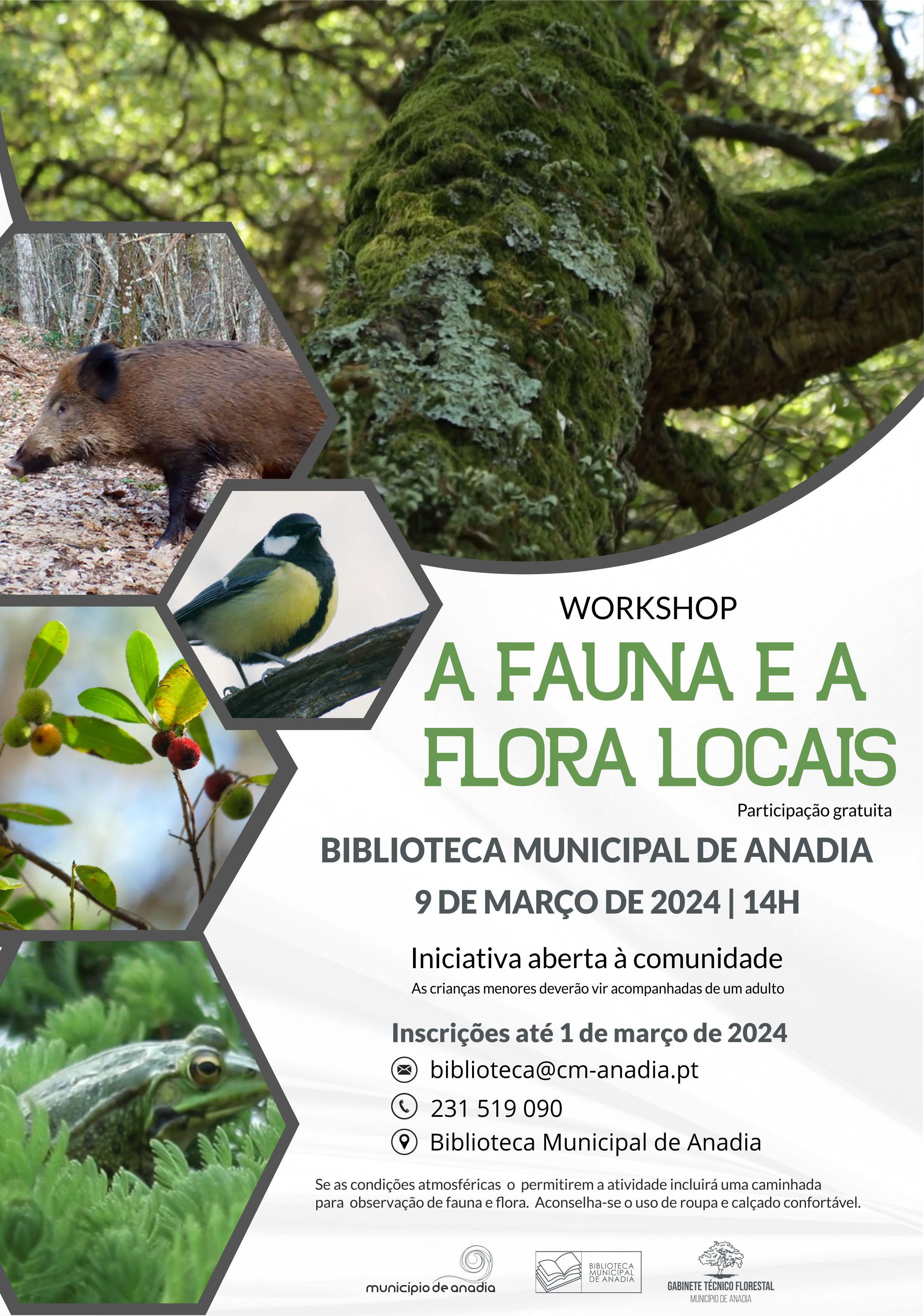Workshop - A fauna e a flora locais